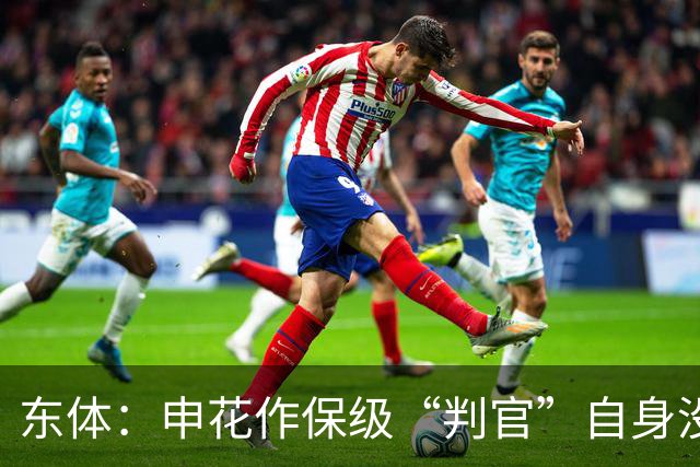 东体：申花作保级“判官”自身没压力，下赛季骨架大致已成型