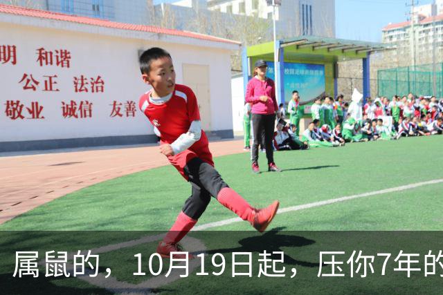 属鼠的，10月19日起，压你7年的死结，终于松了，从此一飞冲天