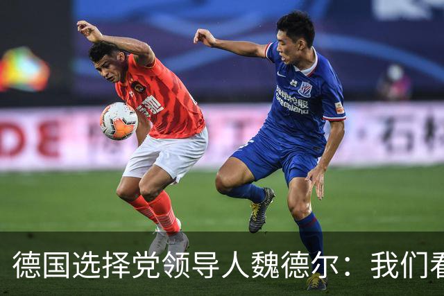 德国选择党领导人魏德尔：我们看到法国和德国的骚乱，应驱逐移民