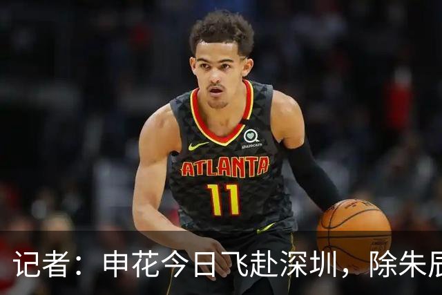 记者：申花今日飞赴深圳，除朱辰杰盖伊等伤员外几乎全员出征