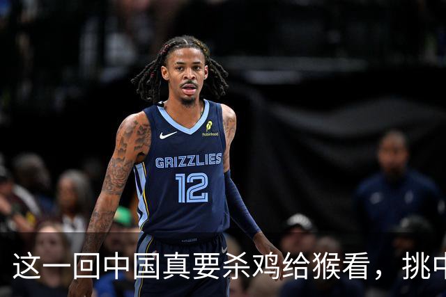 这一回中国真要杀鸡给猴看，挑中的是荷兰。不是美国，不是日本，不是菲律宾，是荷兰