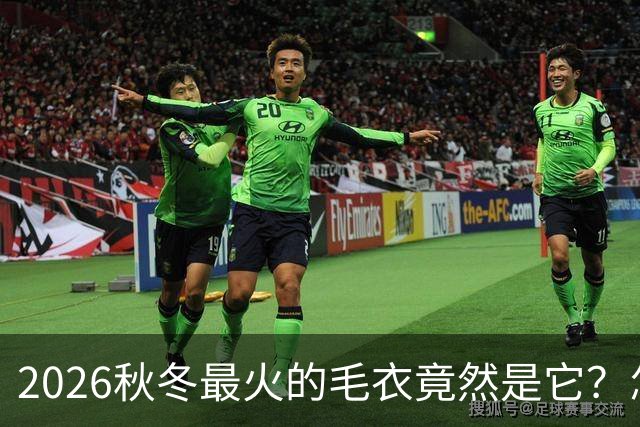 2026秋冬最火的毛衣竟然是它？怎么穿都高级好看！