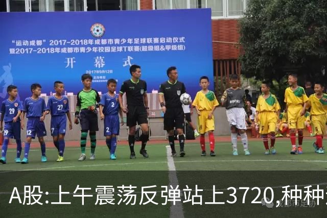 A股:上午震荡反弹站上3720,种种迹象表明,A股调整结束了吗?